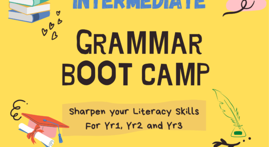 English Grammar Bootcamp(Intermediate) (6 lessons)