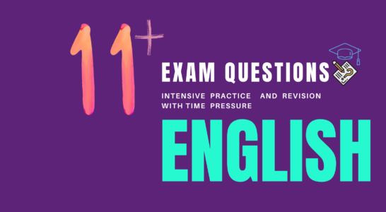 11+ Foundation Exam Questions Practice & Revision English YR4 (12 lessons)