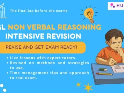 11plus Non Verbal Reasoning Intensive Revision