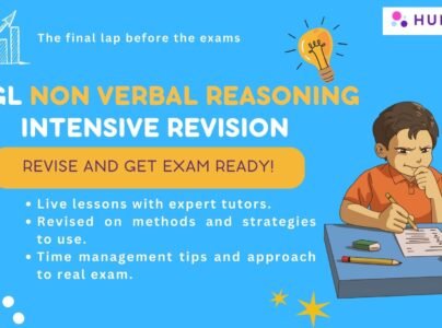11plus Non Verbal Reasoning Intensive Revision