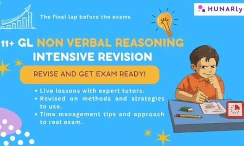 11plus Non Verbal Reasoning Intensive Revision
